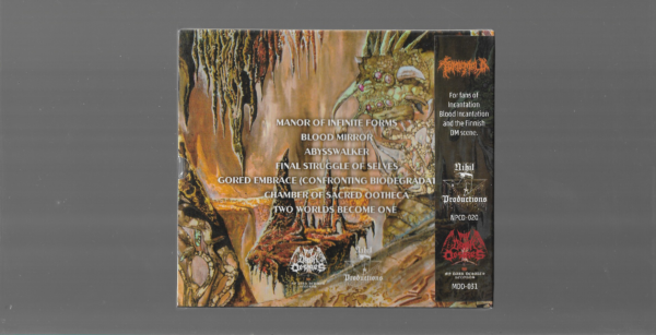 Tomb Mold – Manor Of Infinite Forms - ( Slipcase ) - Imagem 2