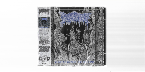 Infested – Grotesque Remains