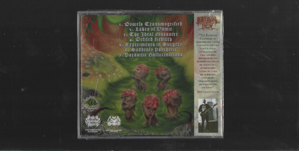 Intestinal Hex – The Exalted Chambers Of Abhorrence - Imagem 2